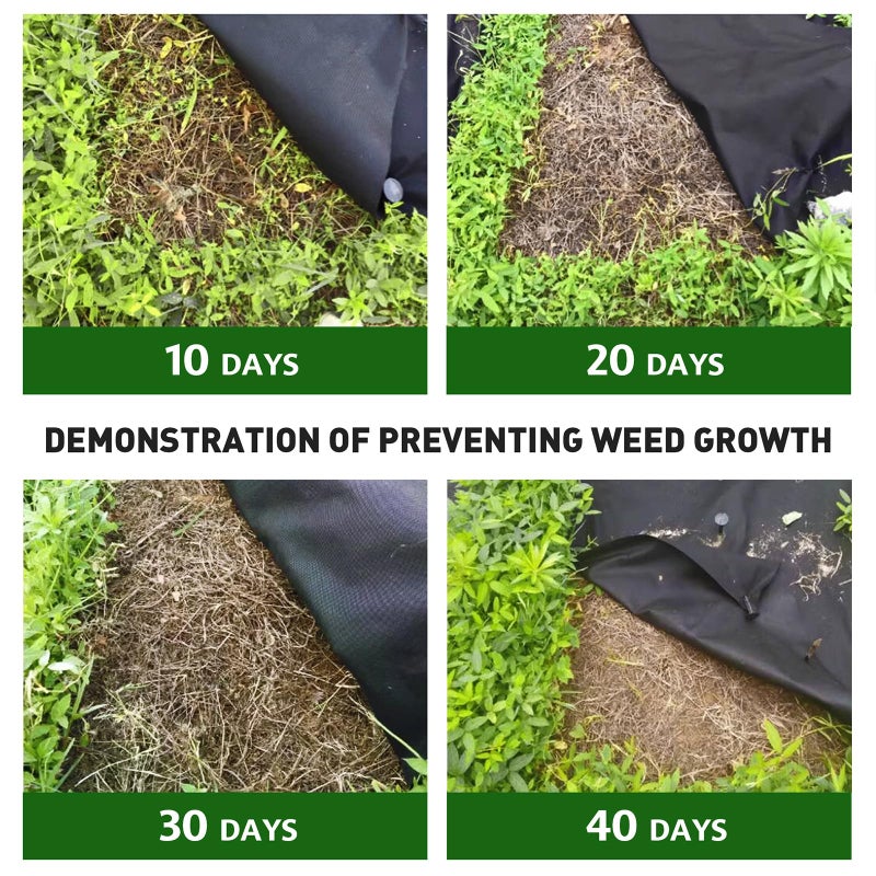 HOOPLE 3FT*100FT Premium Landscape Fabric Weed Barrier, Durable & Heavy-Duty, Thick Weed Barrier Fabric, Easy Setup & Superior Weed Control - Image 4